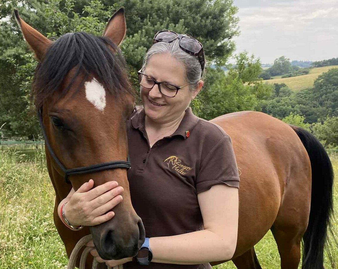 Lady in brown tshirt, holding the muzzle of a bay horse, wearing a black Zenozoic Evolution Halter